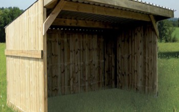 Box pour chevaux